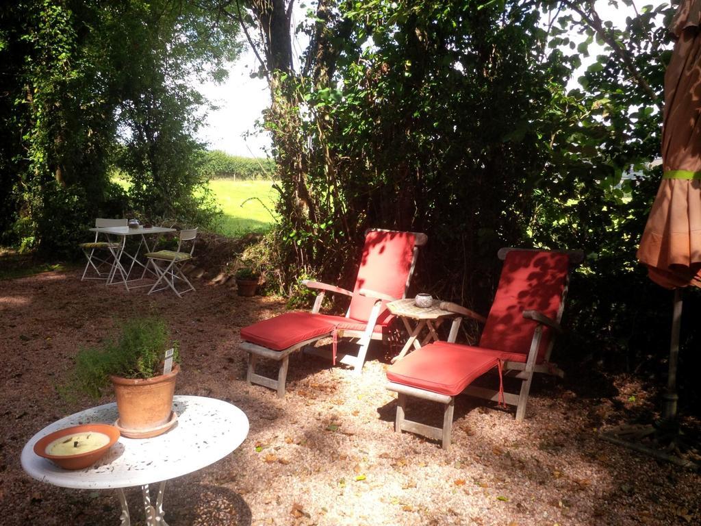The Potting Shed * Little Torrington